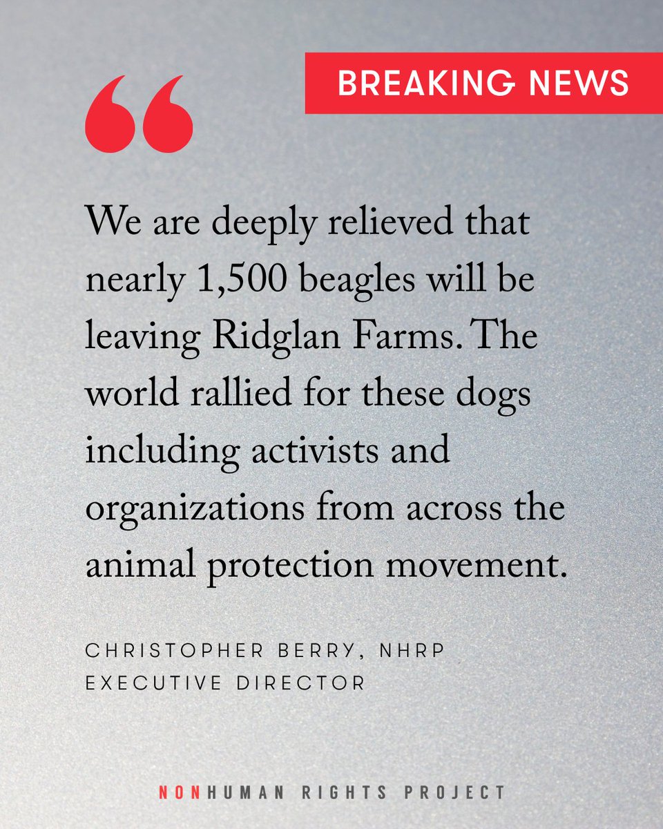 Nonhuman Rights Project tweet media