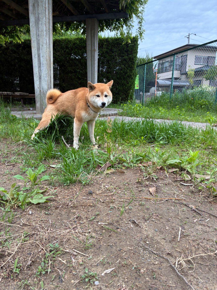 38。 tweet media