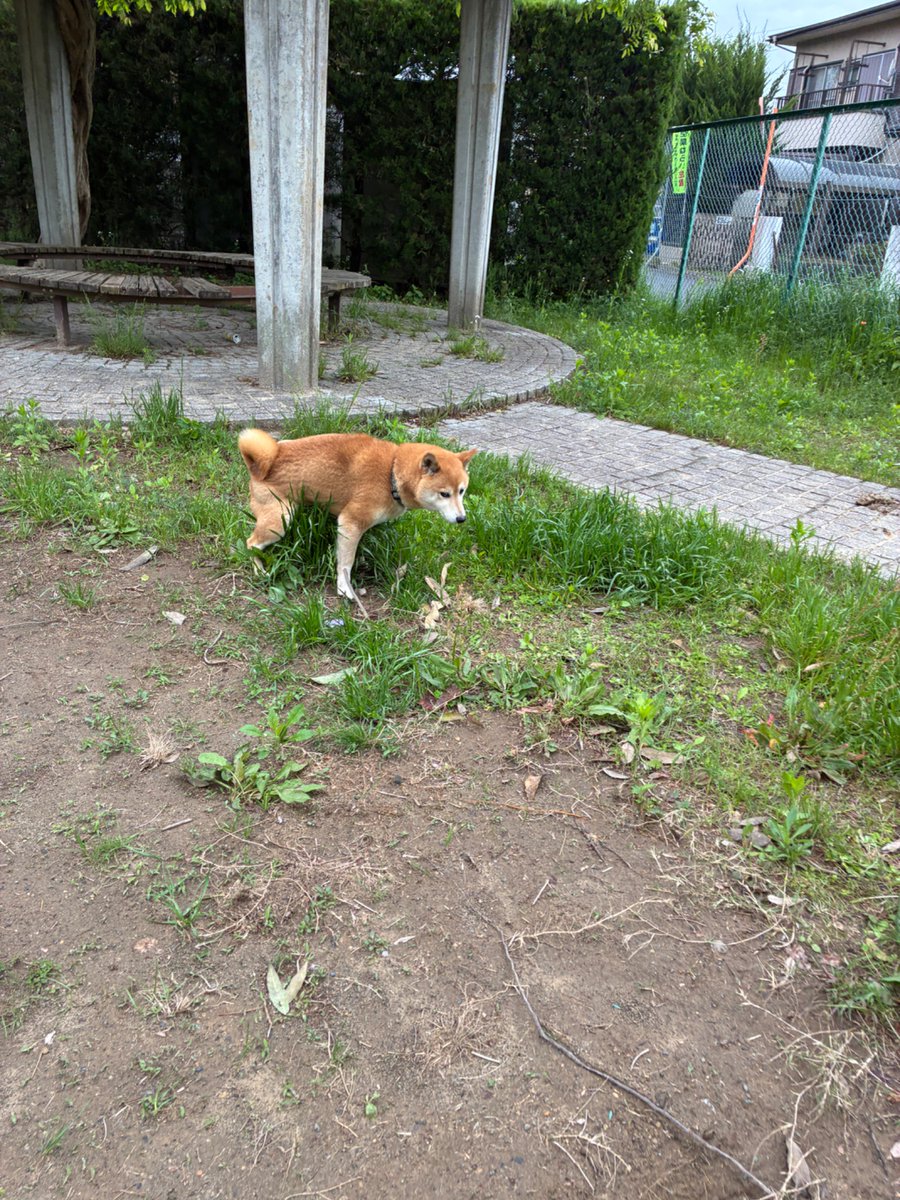 38。 tweet media