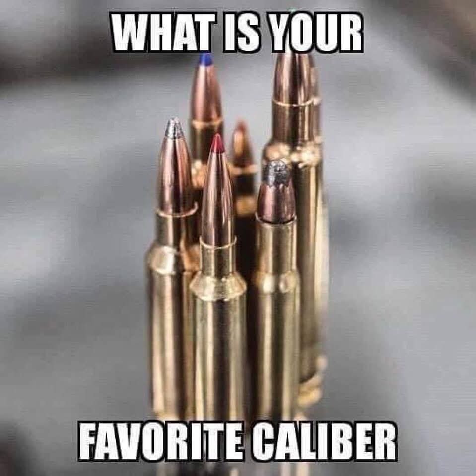 Guns Fanatics tweet media