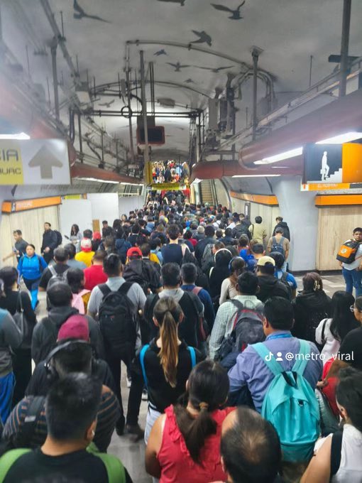 Fan MetroViral tweet media