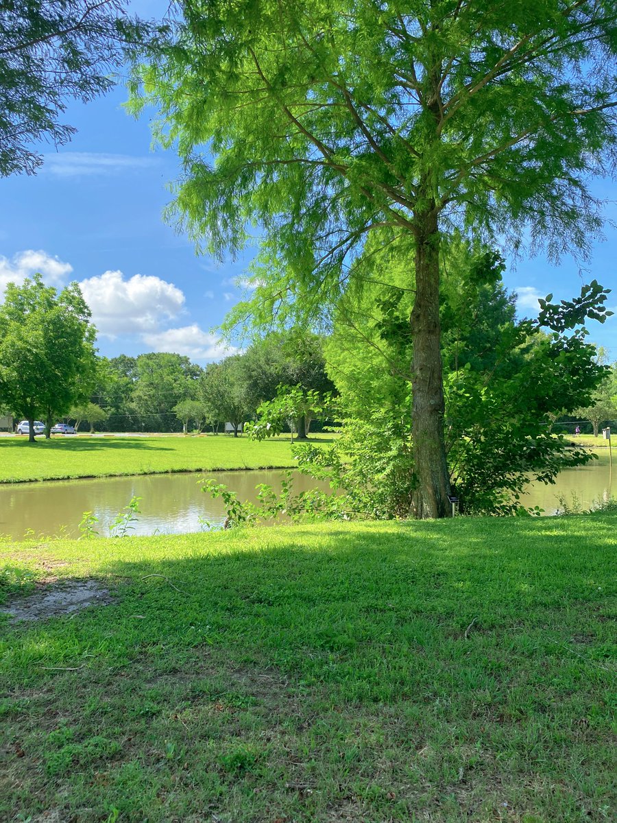 BinxArt's tweet photo. Feels good not posting on here in a while. 

Touch moar grass. https://t.co/ROIFWiXkWj