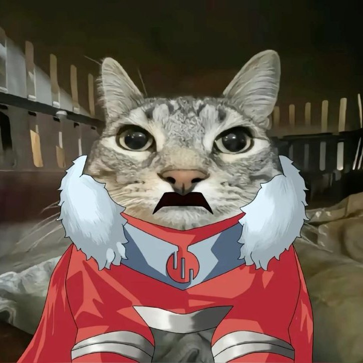 Hesheit5431's tweet image. #NewProfilePic