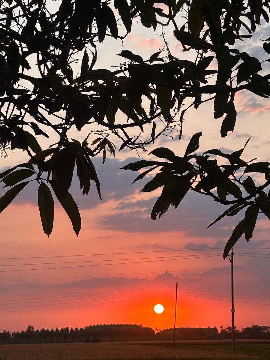 insanooo7's tweet image. सूरज तो सुबह से होकर निकला लाल ,
सख़्त गर्म मौसम से,रखो ख़ुद को संभाल !🥵

भीषण गर्मी से भारत बेहाल है, देश के 16 शहरों में तापमान 45°C के पार!🌞

सुप्रभात 
#Heatwave #Summer
#GoodMorning