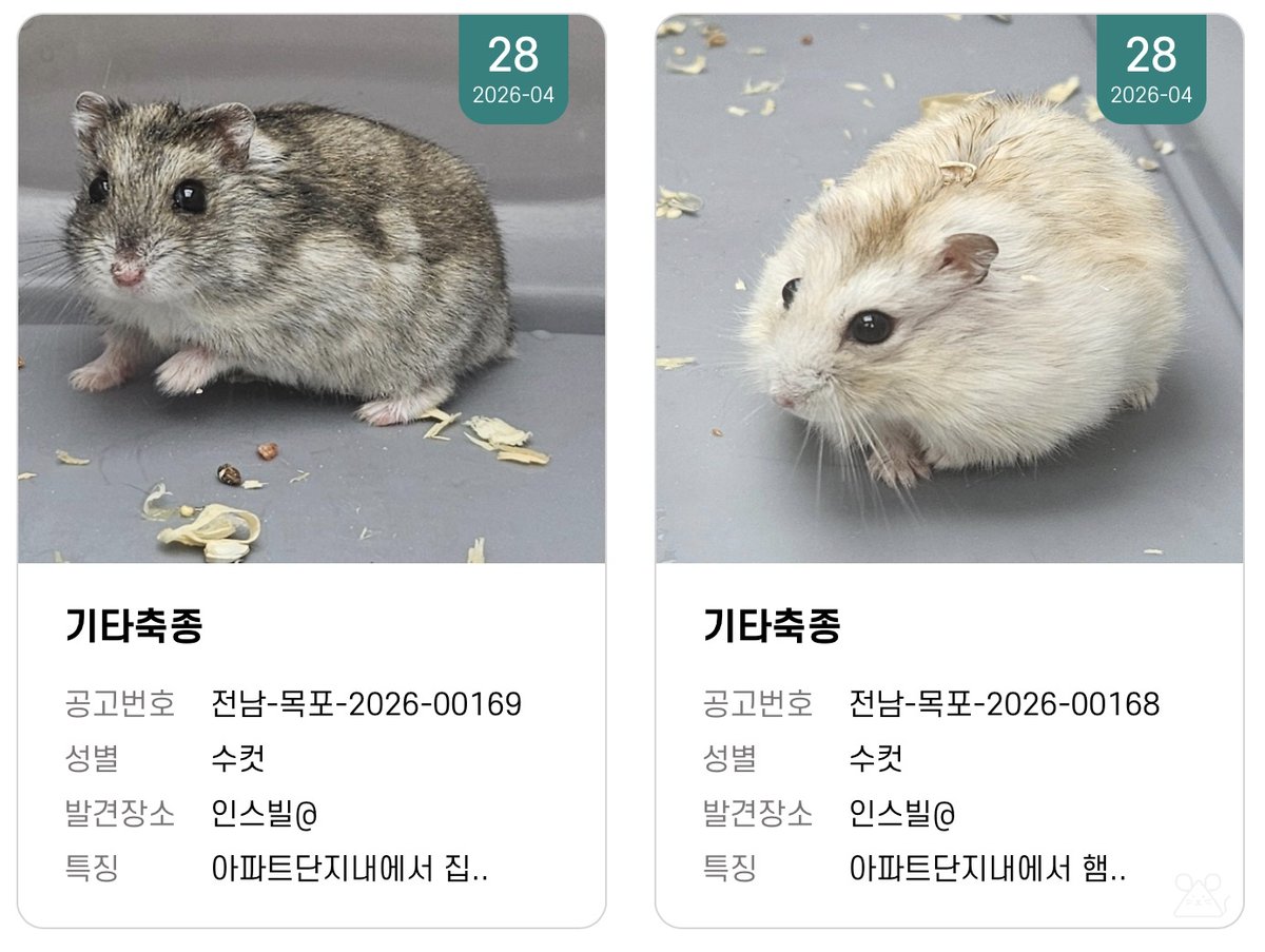 드와뿌닷쮜맘 tweet media