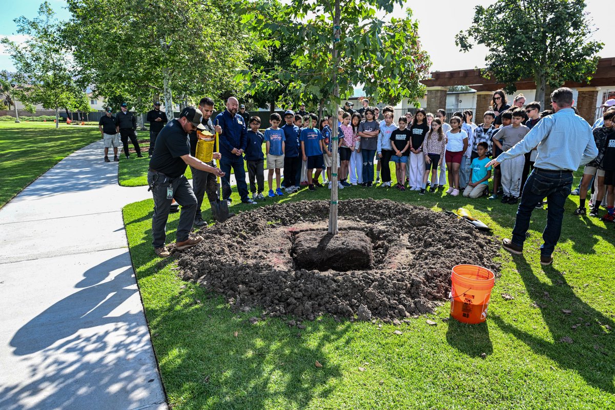JamesMai's tweet photo. Arbor Day was an awesome day! 🌳

We celebrated something that truly defines our community, our trees. Irvine is proud to be recognized as a Tree City USA, a designation that reflects our long-standing commitment to preserving and growing a healthy urban forest for generations to come.

Across our city, we are home to over 300,000 trees, with more than 100,000 actively managed by the City of Irvine. These trees do more than beautify our neighborhoods, they improve air quality, provide shade, support our environment, and enhance the quality of life for every resident.

This was my second Arbor Day as Vice Mayor, and it was especially meaningful to celebrate alongside students at Myford Elementary. Seeing their energy, curiosity, and appreciation for nature is a reminder that stewardship starts early, and that the future of Irvine is in great hands.

Thank you to our students, educators, and city staff who continue to invest in a greener, healthier Irvine 💯

#irvine #trees #arborday #treecity #peolpleoverpolitics