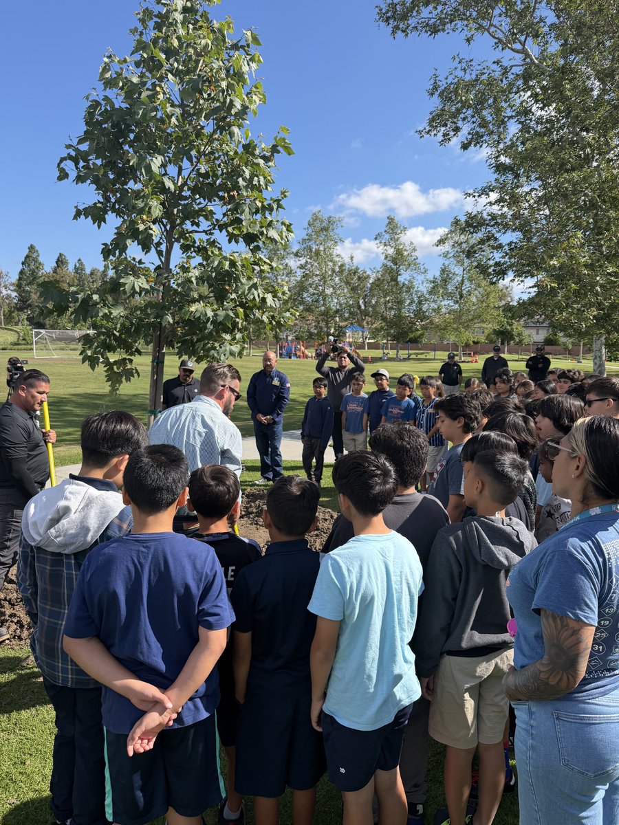 JamesMai's tweet photo. Arbor Day was an awesome day! 🌳

We celebrated something that truly defines our community, our trees. Irvine is proud to be recognized as a Tree City USA, a designation that reflects our long-standing commitment to preserving and growing a healthy urban forest for generations to come.

Across our city, we are home to over 300,000 trees, with more than 100,000 actively managed by the City of Irvine. These trees do more than beautify our neighborhoods, they improve air quality, provide shade, support our environment, and enhance the quality of life for every resident.

This was my second Arbor Day as Vice Mayor, and it was especially meaningful to celebrate alongside students at Myford Elementary. Seeing their energy, curiosity, and appreciation for nature is a reminder that stewardship starts early, and that the future of Irvine is in great hands.

Thank you to our students, educators, and city staff who continue to invest in a greener, healthier Irvine 💯

#irvine #trees #arborday #treecity #peolpleoverpolitics