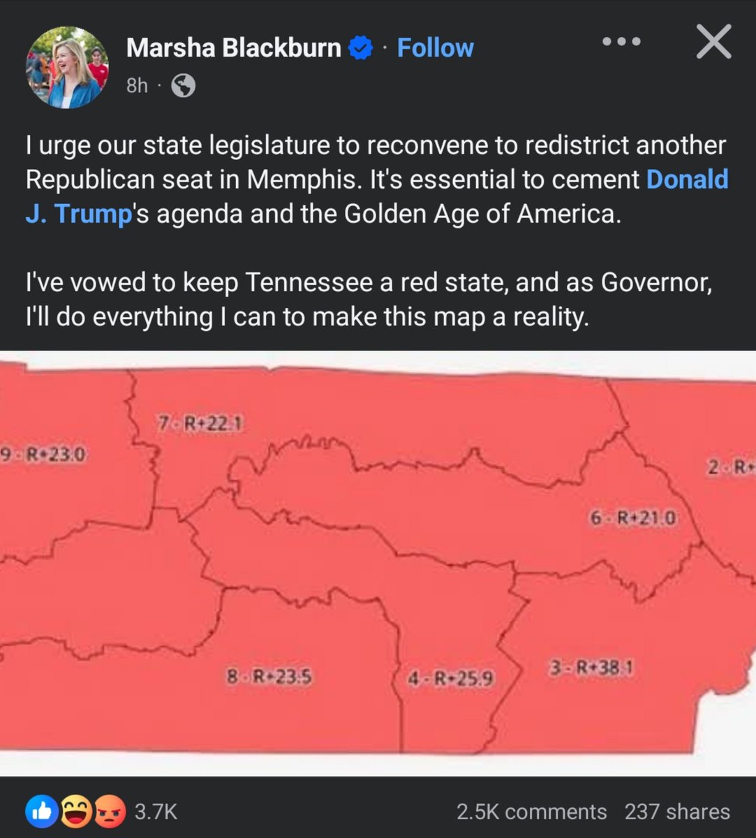 Your_Uncle_Kaz's tweet image. @MarshaBlackburn plans to split #Nashville into three pieces to conveniently make new red districts and completely destroy the Democratic stronghold that is Nashville. What do the people of Springfield and North Nashville have in common that requires them to be in the same (1/2)