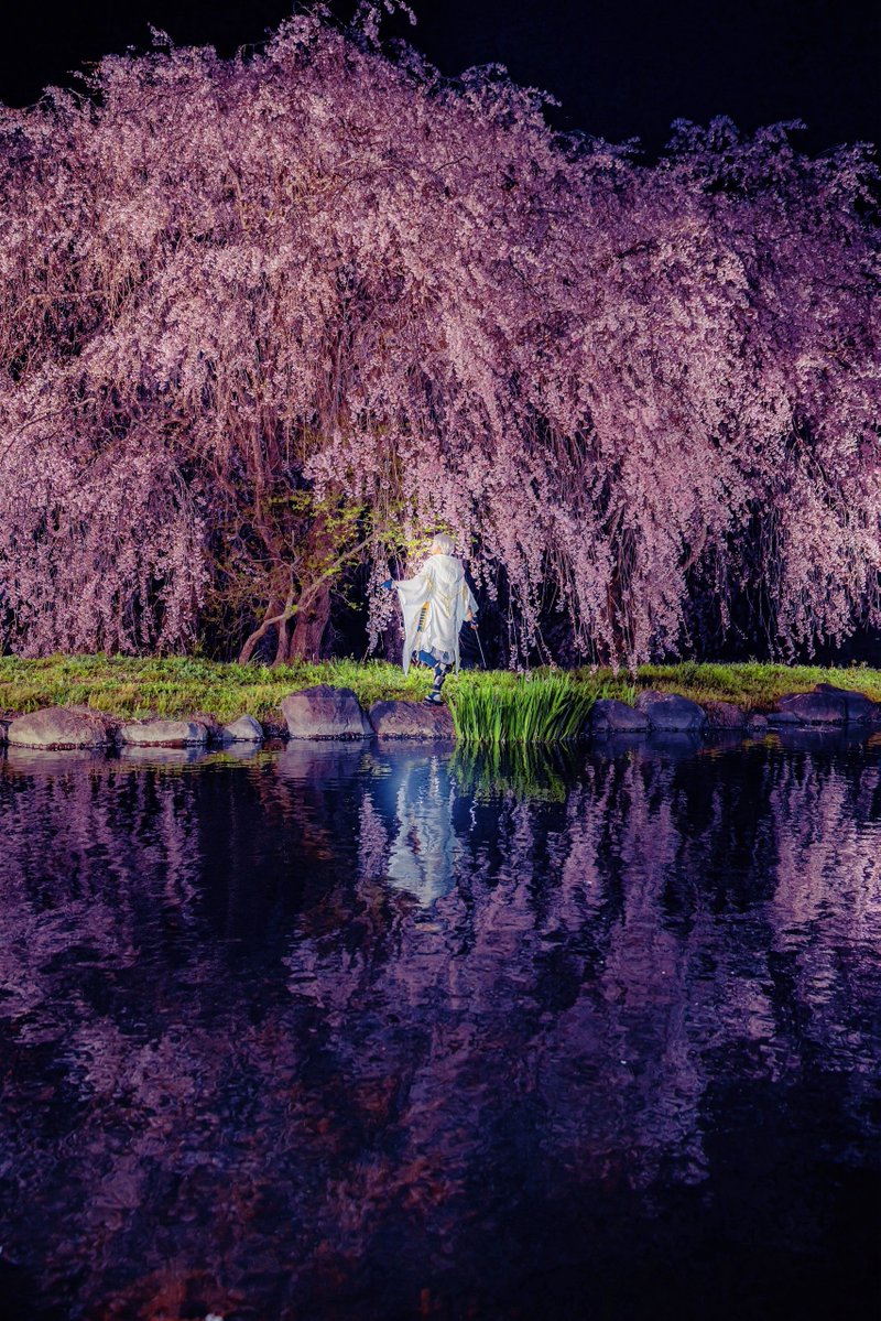 くお🌸 tweet media