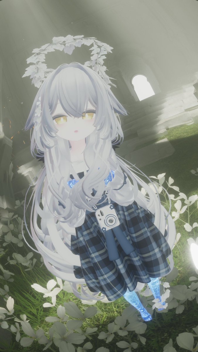 とむきゃっと tweet media