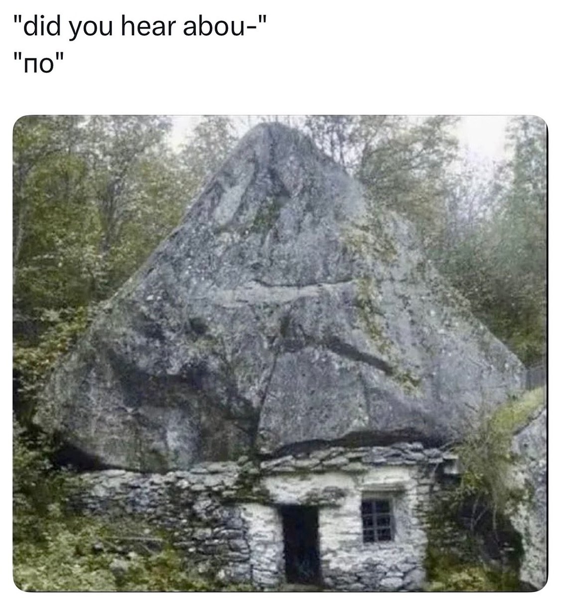 midnight tweet media