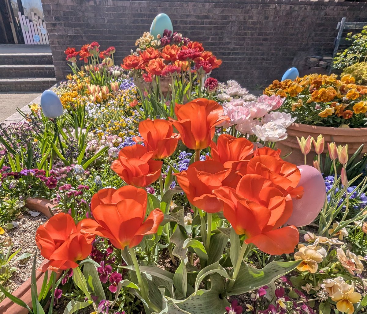 tea 𓂃 ⋆͛*͛ 𓇨𓍌 tweet media