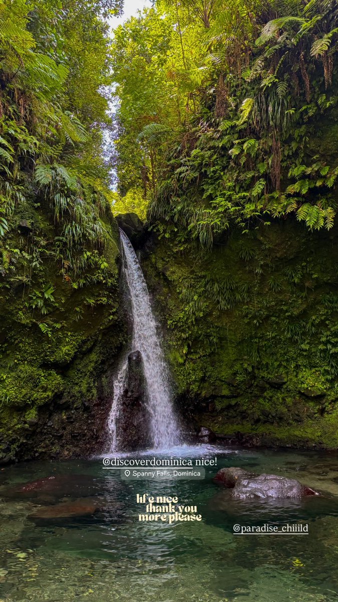 queen of life nice. thank you, more please tweet media