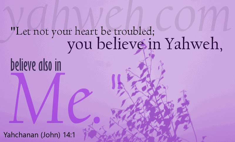 The House of Yahweh tweet media