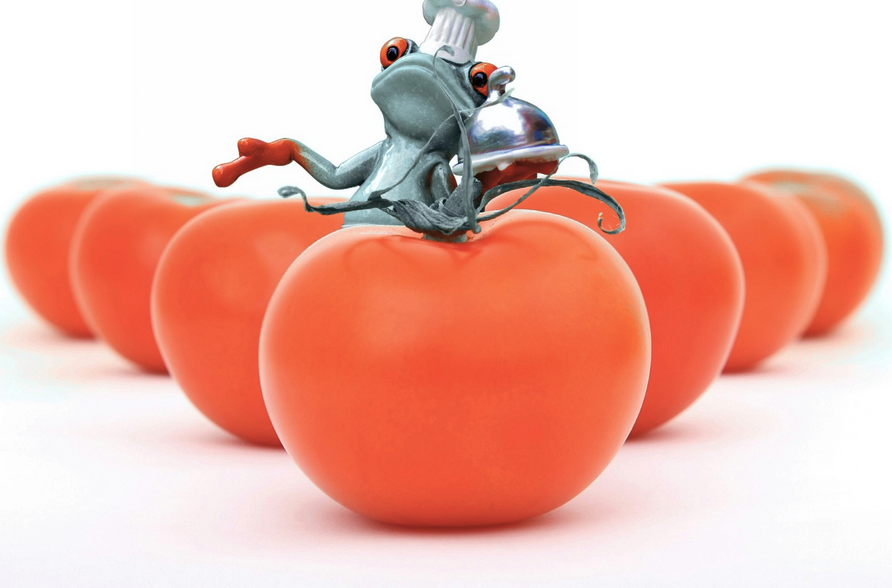 UntangleX's tweet photo. Eat That Frog doesn't help when the frog is your whole identity. The productivity world has no framework for the quiet kind of transition. https://t.co/e9Y0gcK0ka https://t.co/B9F1vdX6q8