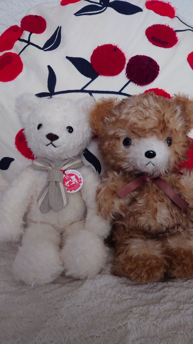 童心ぬいぐるみ（日本製）三体 お迎えお待ちしてます！ ぬいぐるみ