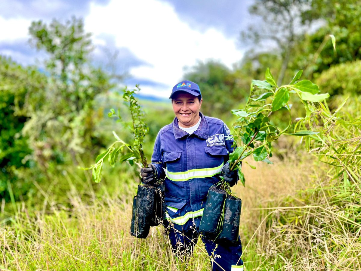 CAR Cundinamarca tweet media