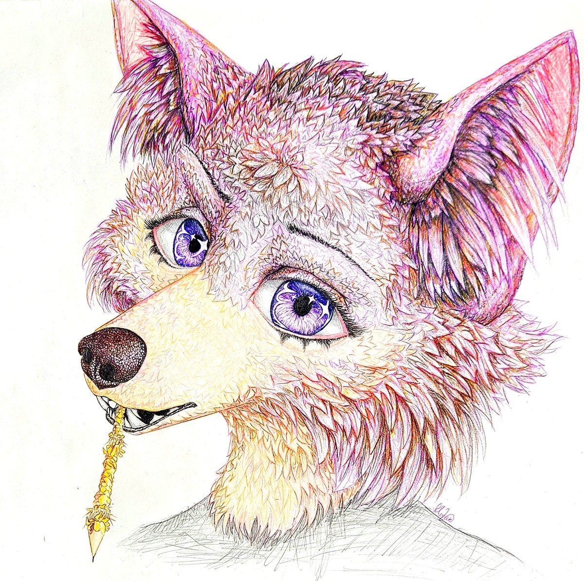 foxjakk's tweet photo. pencil puncher https://t.co/pMkePEXAJM