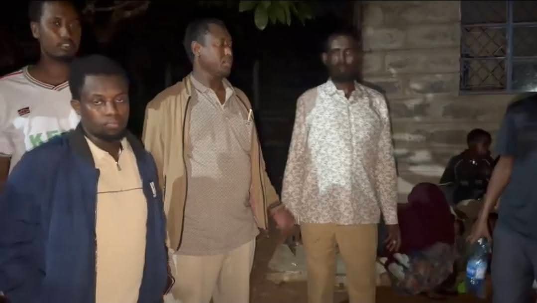 George T. Diano tweet media