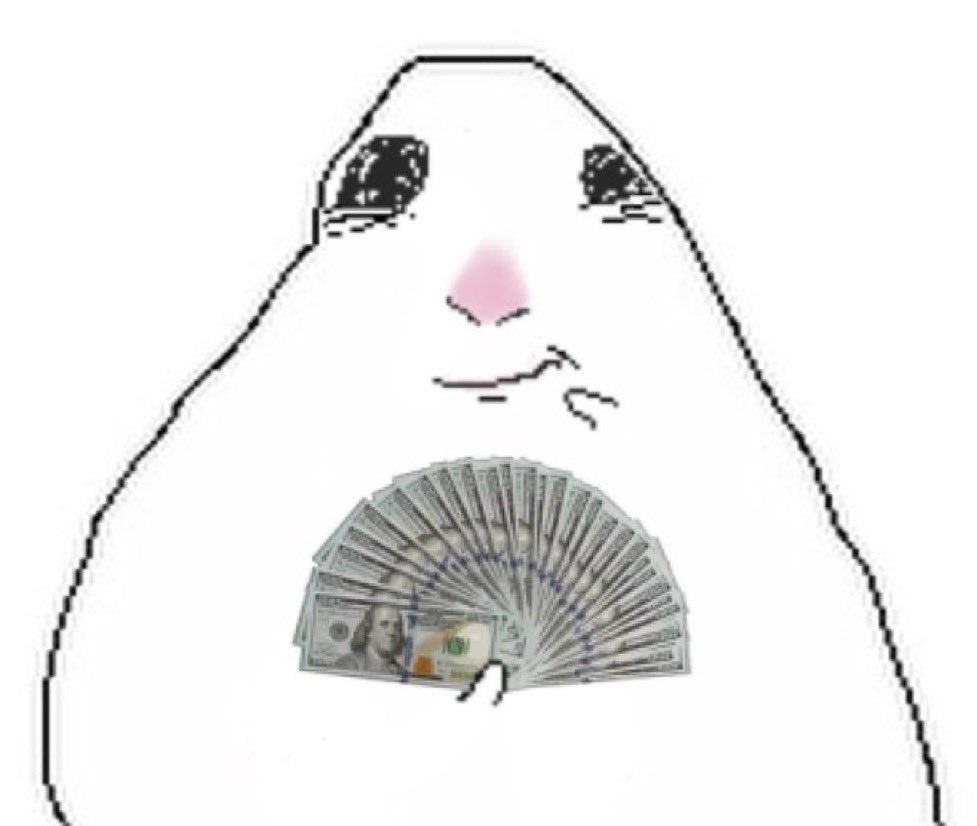 𐔌 . ⋮ sofi .ᐟ ֹ ₊ ꒱ tweet media