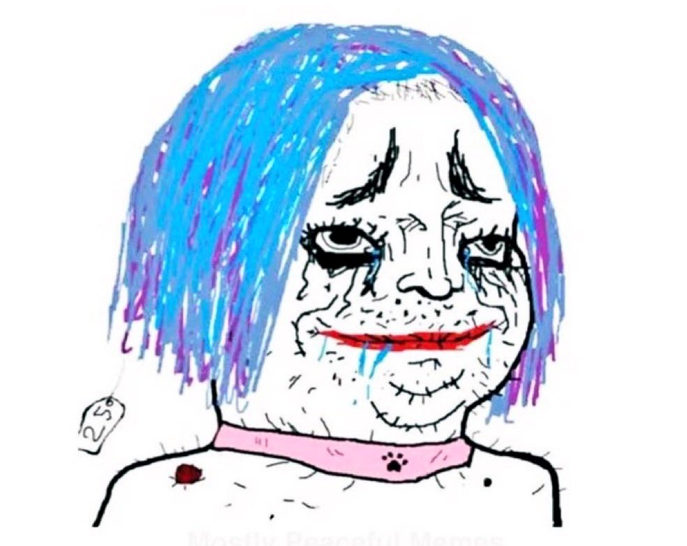 Quentin C 🇻🇦 tweet media