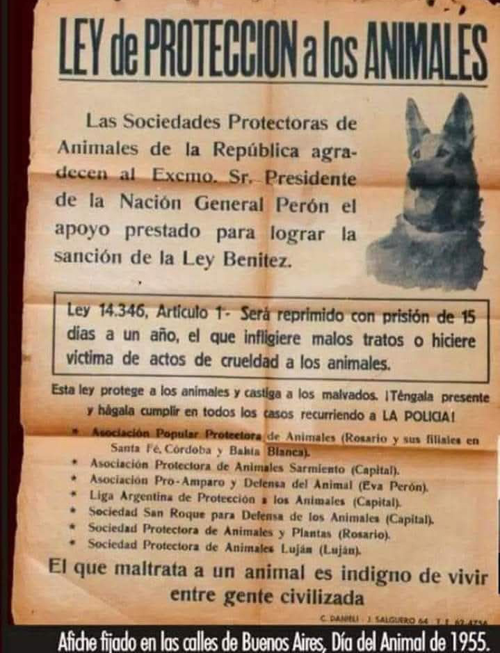 silviaurich's tweet photo. 1954. Por iniciativa del Pte Perón se sanciona la ley penal de protección a los animales. Ley 14.346 https://t.co/LOlGL9VFb9