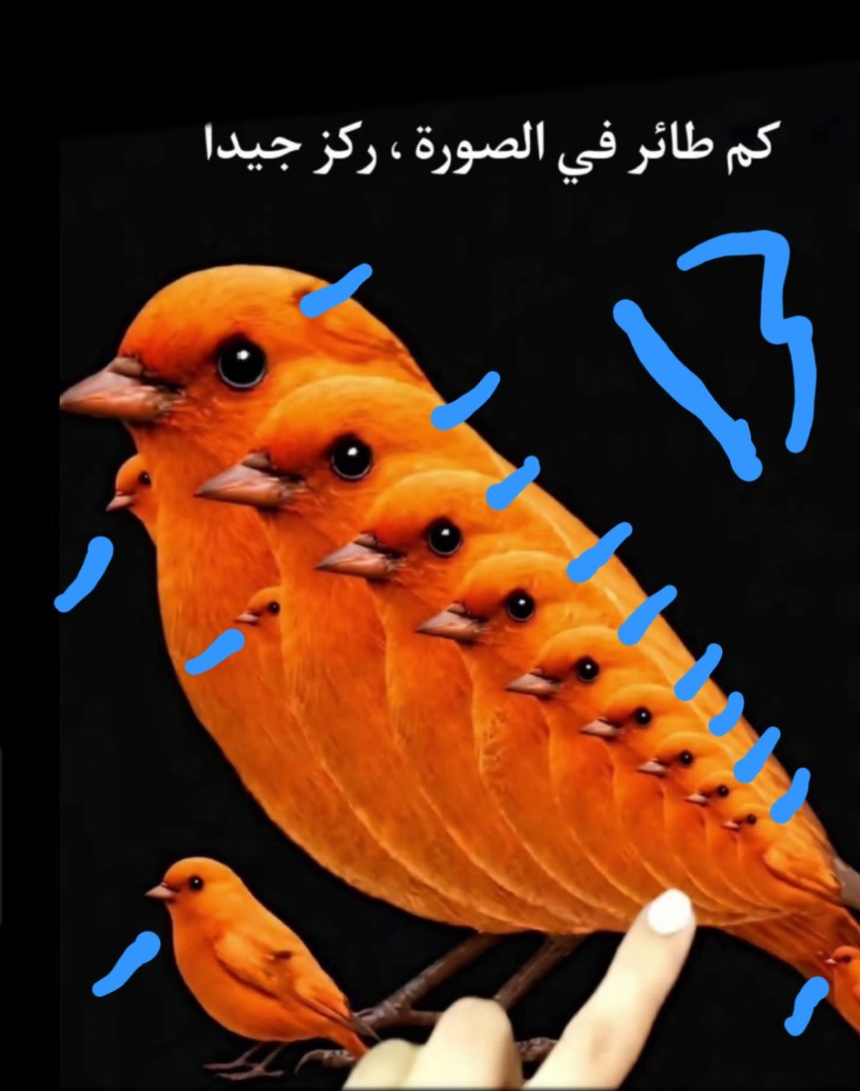 محمد tweet media