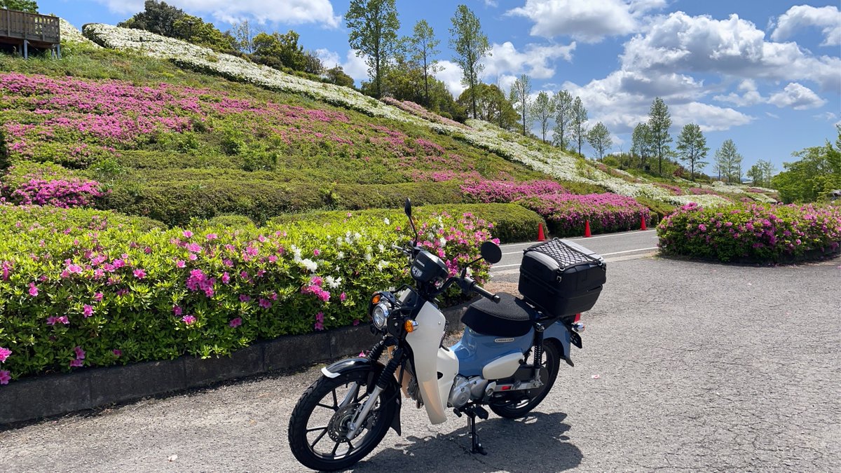 nanachine's tweet photo. クロス��ブ110が納車されて1000キロ走行。購入の決め手は純正のレッグシールドを着けられるところ。ポジションはノK&amp;Hさんのフォワードハンドルキット、CT125用フォールディングチェンジペダル（純正）、ZETAアドベンチャーフットペグ（5mm前方に）で好みに。走りは→ https://t.co/iGnCtzb6xU