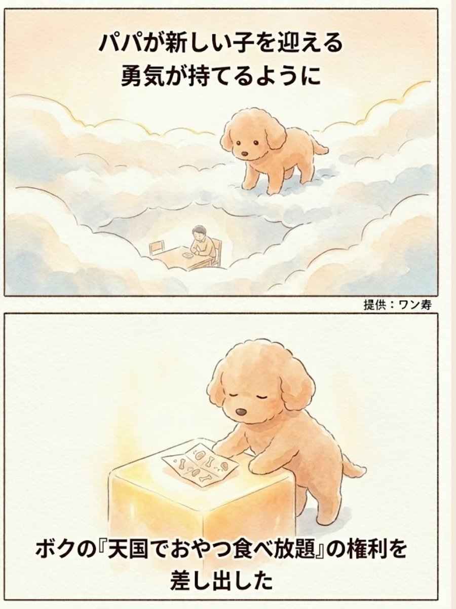 わんわん物語@ワン寿 tweet media