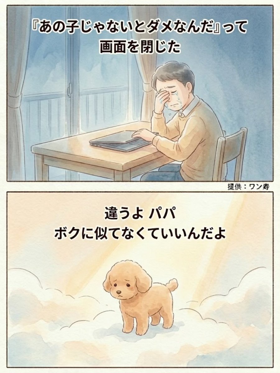 わんわん物語@ワン寿 tweet media