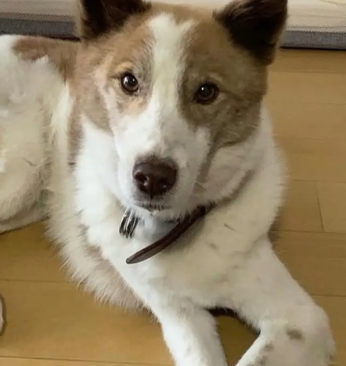 くるみmama tweet media