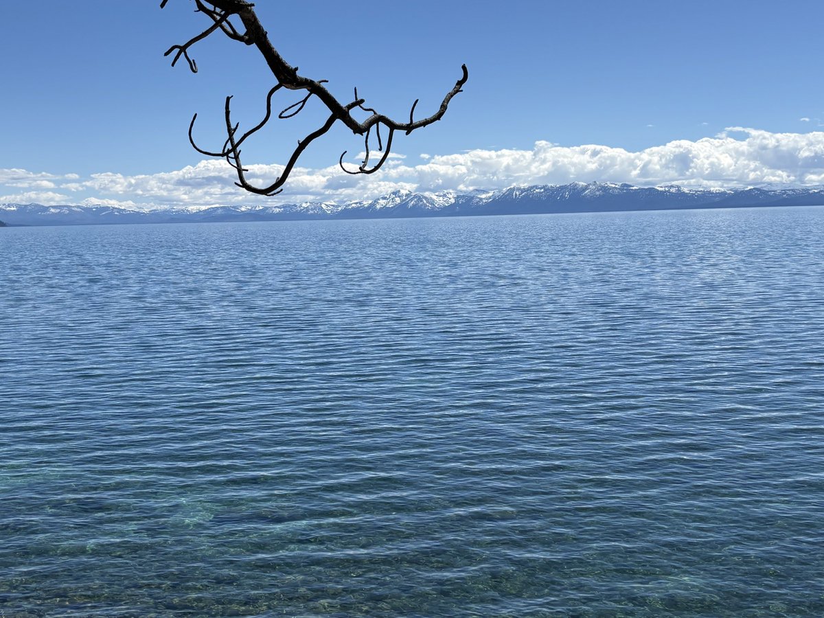 InclineVillag3's tweet image. Nothing beats Incline Village this time of year! #mcm #eichler #listingagent #tahoe