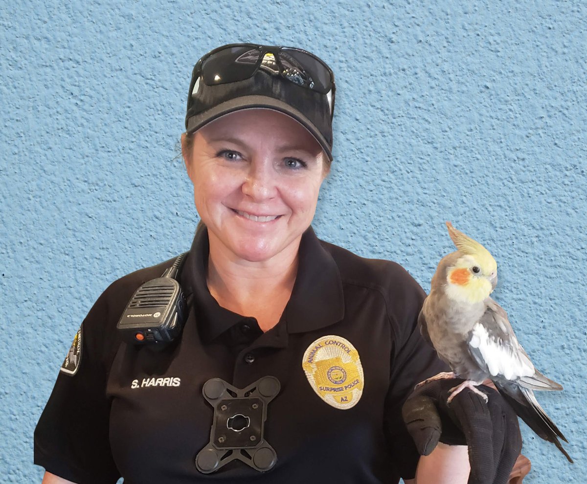 adlaz's tweet photo. 📷 Connect Our Community to Fight Animal Cruelty!
Reminder: Join us this Thursday at 6 PM at Glendale Library to learn from animal cruelty investigators how we can take action to fight animal abuse. Register:  https://t.co/R490RZDMZg https://t.co/OBfOUgvrFS