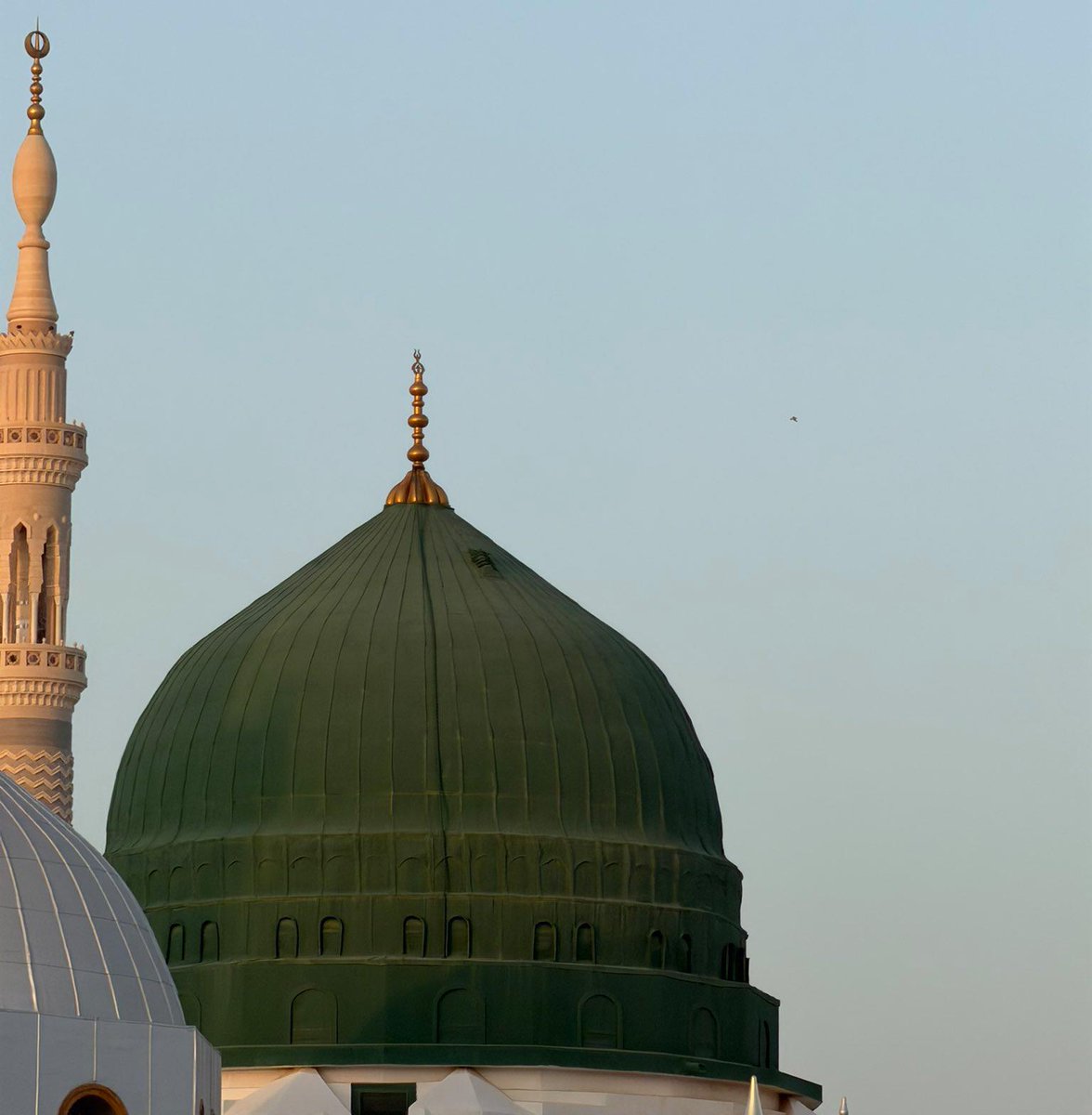 خنجرِ رضا⚔️🇵🇸 tweet media