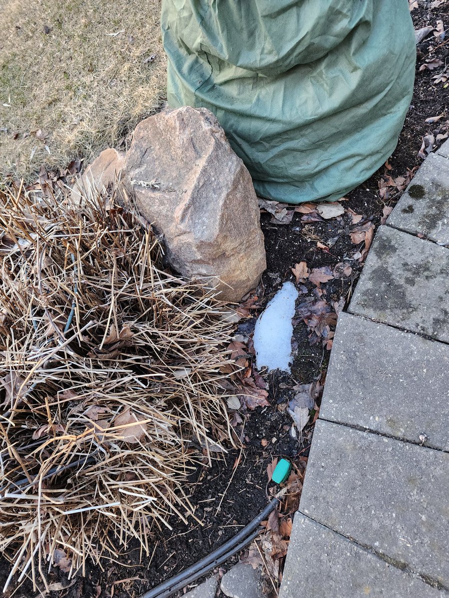 kathleengorma13's tweet image. Our last little patch of snow...I hope. #yeg #spring