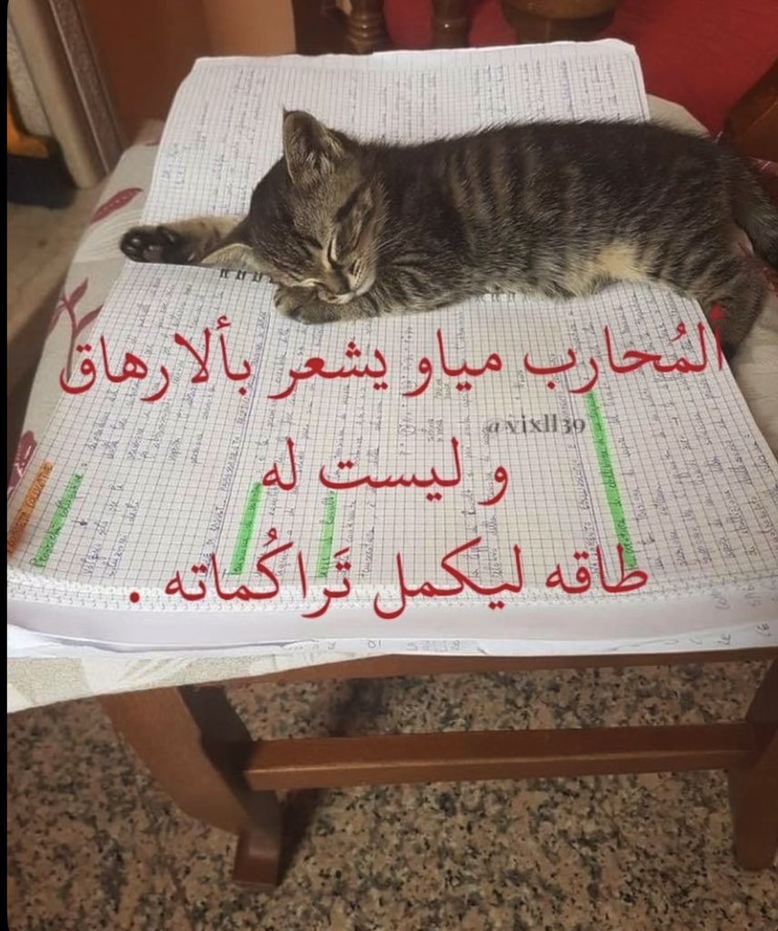 nour tweet media
