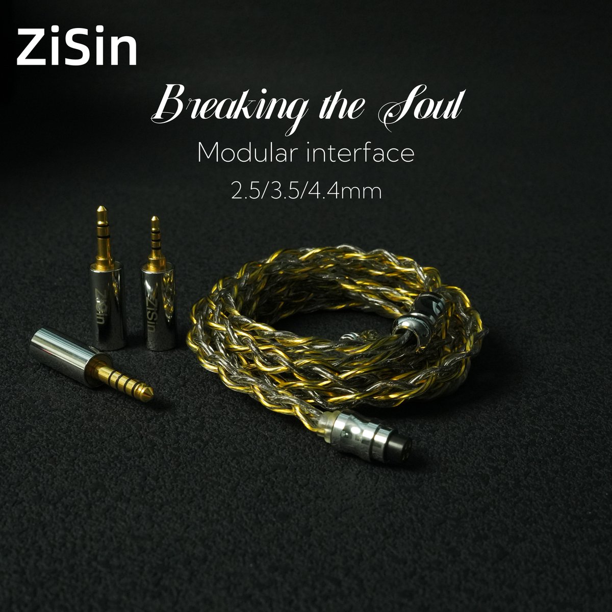 ZiSin Official tweet media