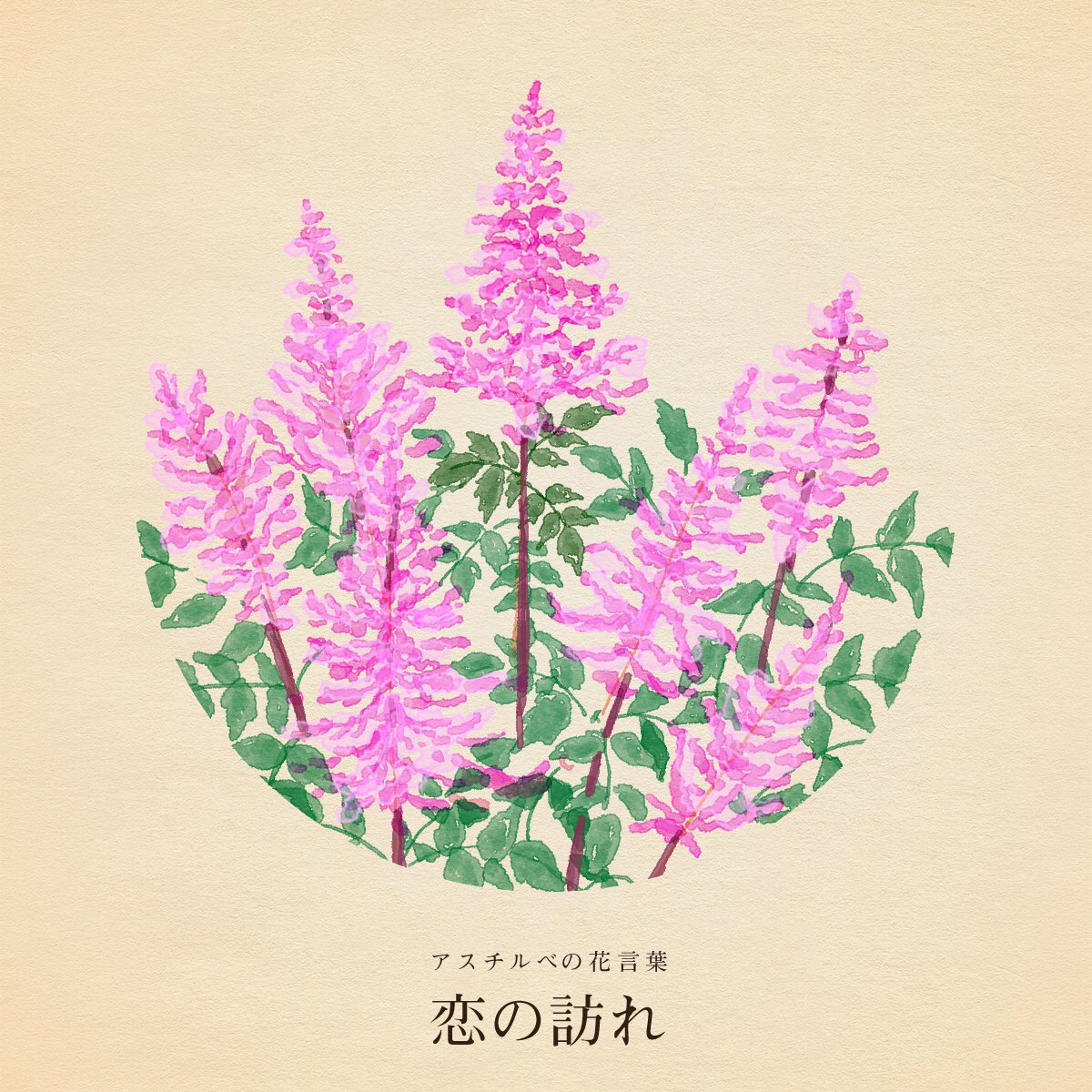 はな言葉🌷葉菜桜花子🌷新刊発売 tweet media