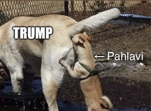 Olive🫒🇨🇦🎒 tweet media