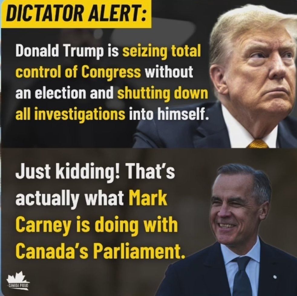 Michelle LA🇨🇦 tweet media