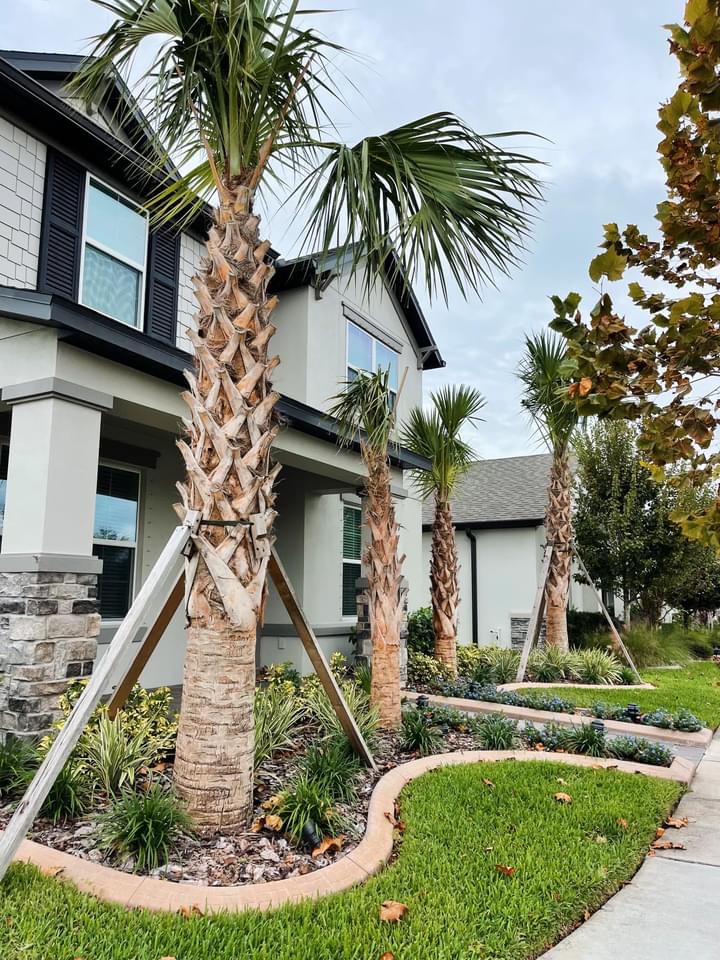 Exultant Digital tweet media