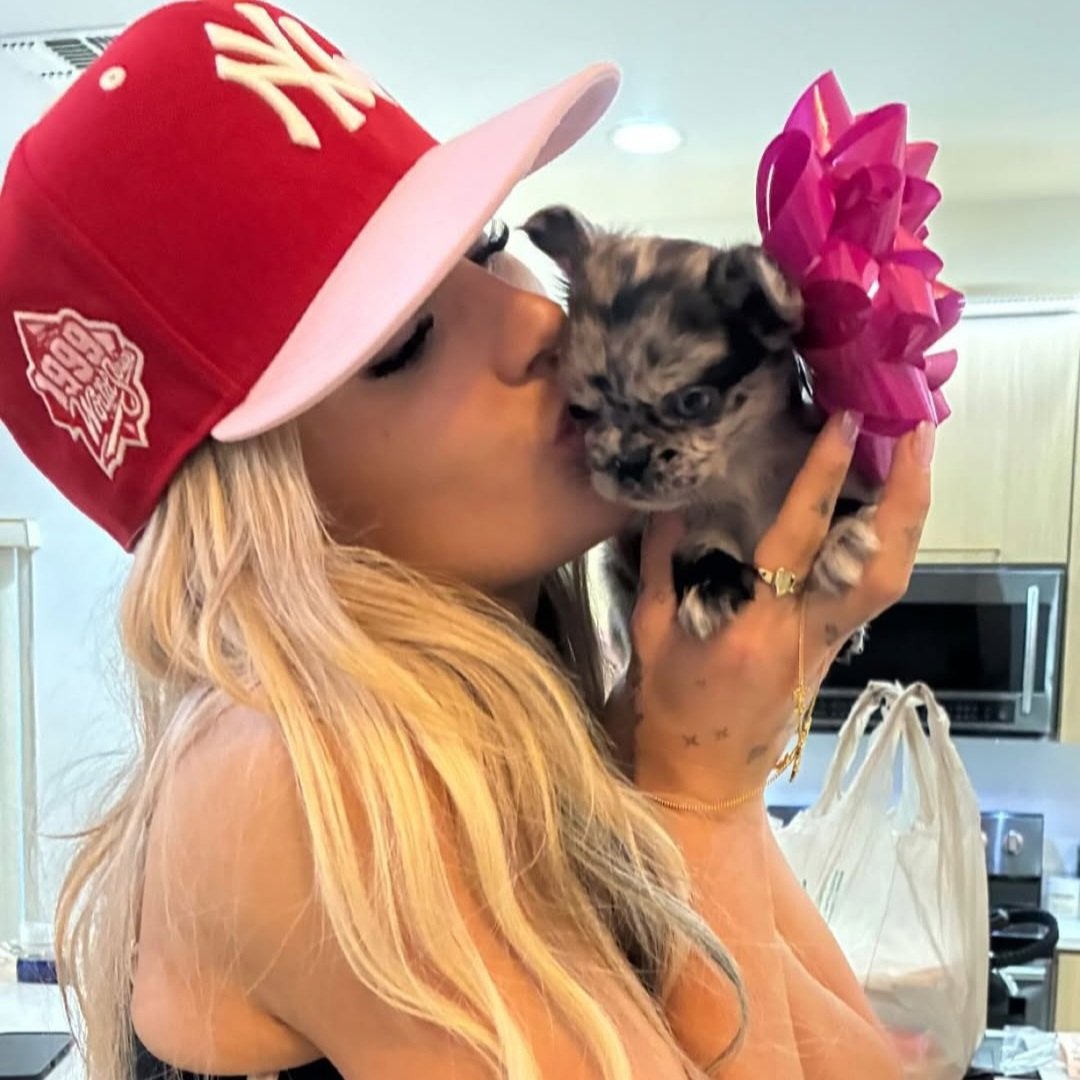 TalkinToMySass's tweet photo. Early birthday present ! Say hello to Lychee. Safe to say Mochi likes his little sister. 🩷 https://t.co/C8ob1ZMKcy