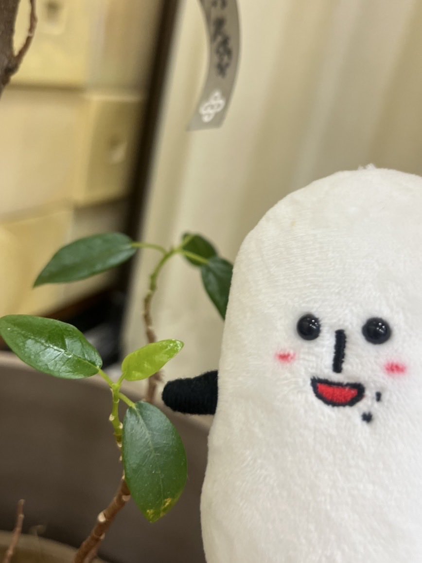 コメ助【公式】☀️🌾 tweet media