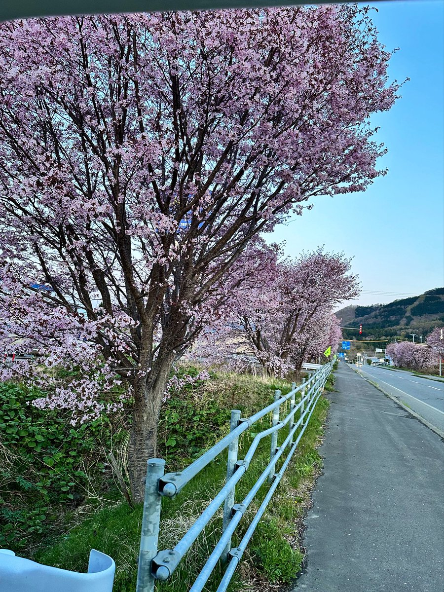 zerikochaan's tweet photo. おはようございます

昨日北海道入りして函館から右、茅部方面を回ってピンズ集め中📍
今日の温泉どこ入ろうかなー

明日からエスコントリプル参戦なのも楽しみです！ https://t.co/cAUj4Lx91g