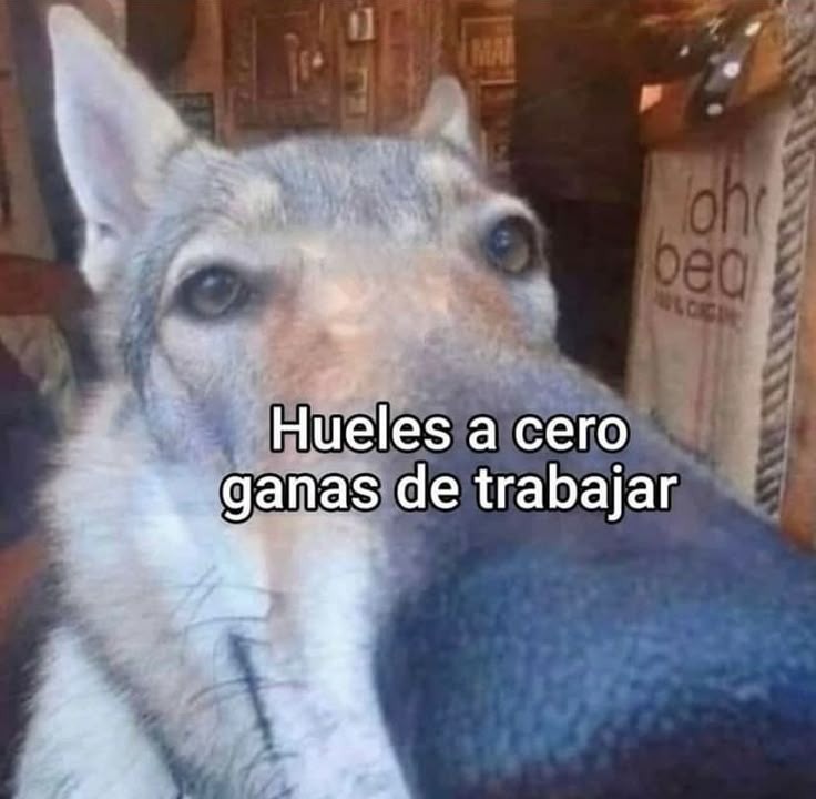 Marin990🇦🇷🪻🪴 tweet media