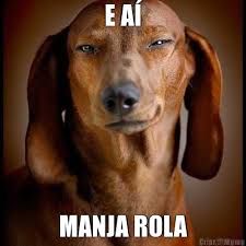 🐷 O Espectro que Ronda tweet media