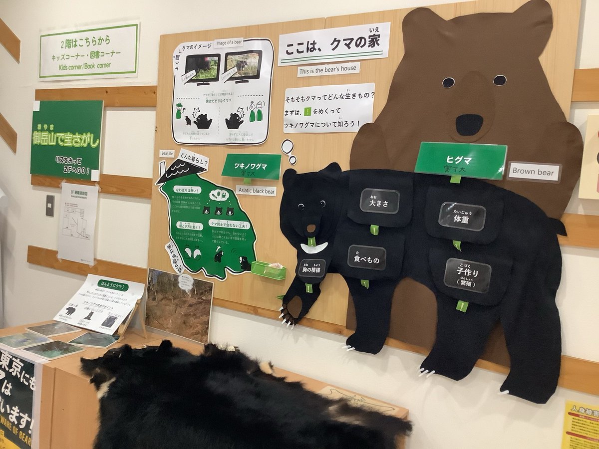 窓口でお問い合わせが増えているのは #ツキノワグマ 🐻 御岳山もクマが