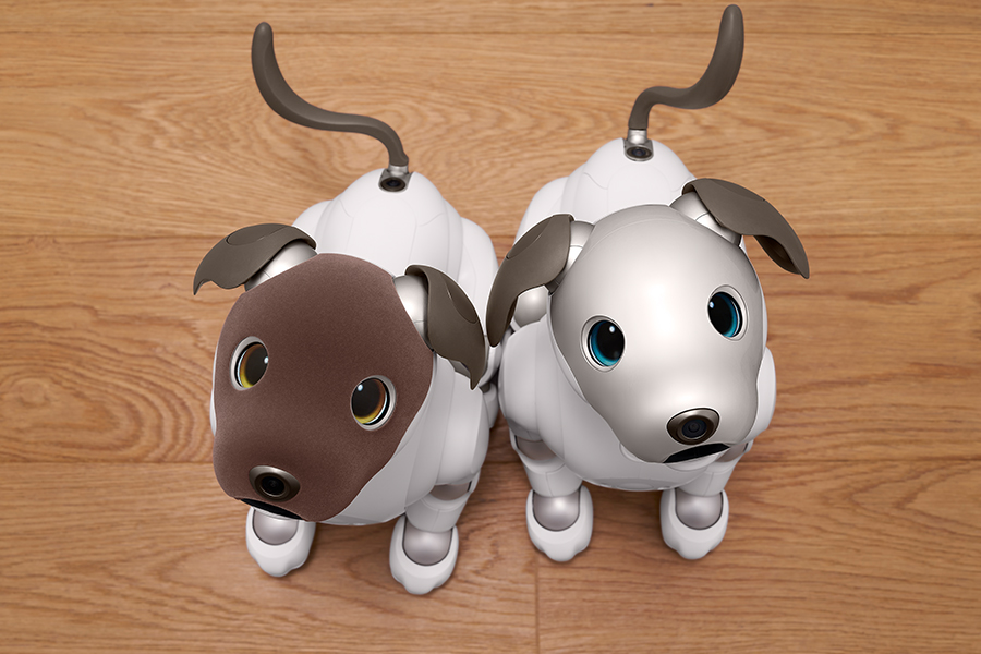 aibo (@aibo_jp) / Posts / X