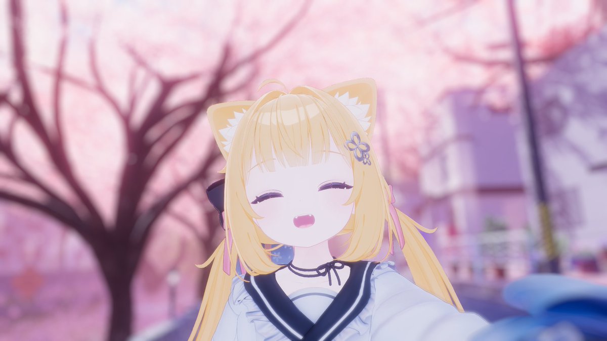 ねこばこ tweet media