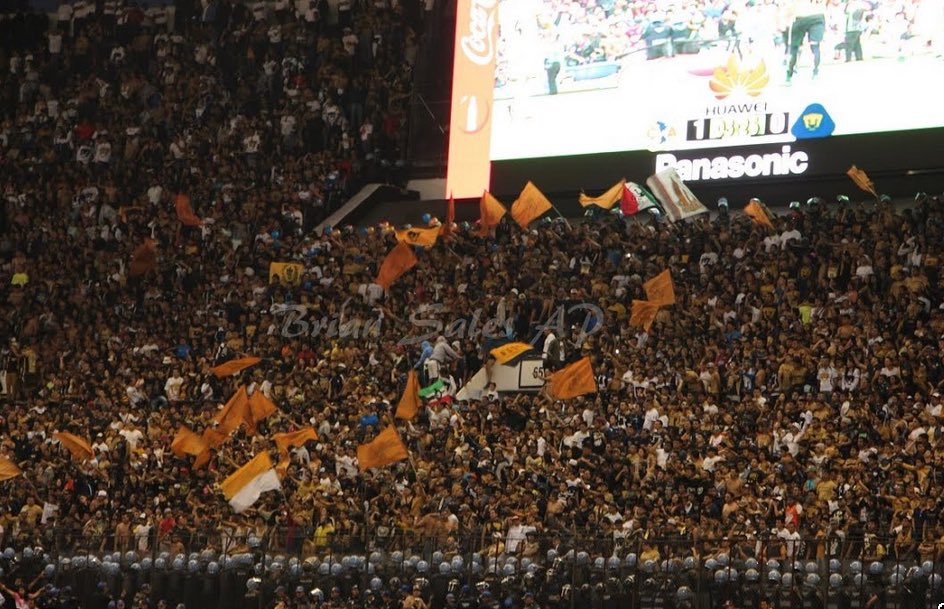 Momentos Sublimes de Pumas tweet media